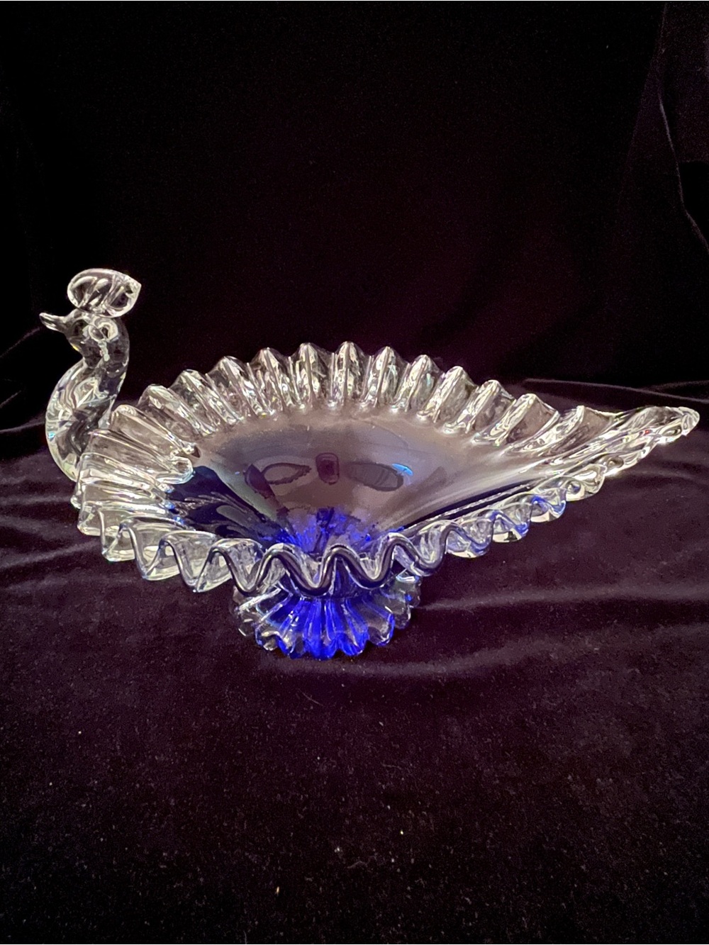Murano Blown Art Glass Peacock Bird of Paradise Trinket Dish Ribbon Crimp Cobalt